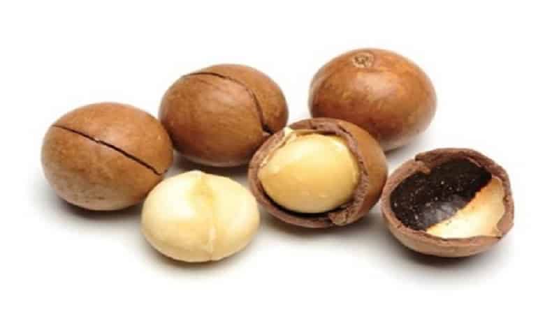 ¿Cuáles son los beneficios y daños de las nueces de macadamia para las mujeres: composición, aplicación, revisiones?