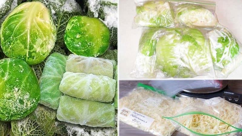 Como armazenar corretamente o repolho no freezer, na geladeira e sem dispositivos de refrigeração