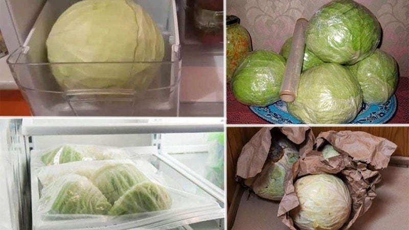 Como armazenar corretamente o repolho no freezer, na geladeira e sem dispositivos de refrigeração