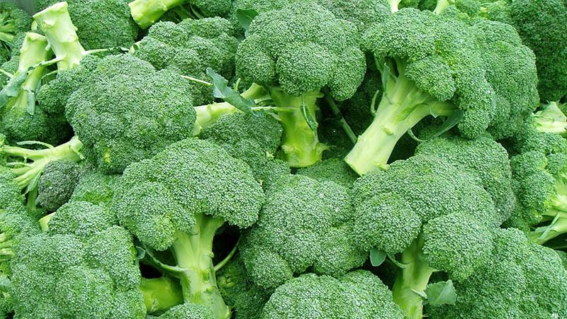 Hakbang-hakbang na gabay sa kung paano palaguin ang broccoli sa bahay nang tama