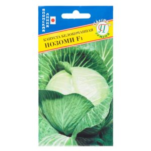 Ultra-early ripening cabbage hybrid Nozomi f1