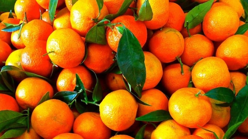 Ano ang pagkakaiba ng clementine at tangerines at alin ang mas malusog?