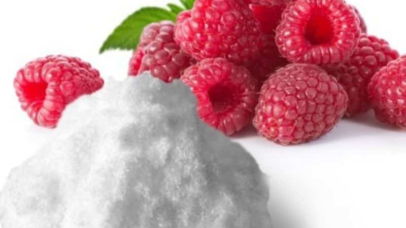 Raspberries: beneficial properties of the berry and possible harm