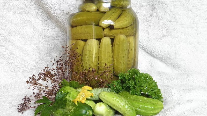 Recipe for a delicious winter snack: crispy pickled cucumbers with vodka