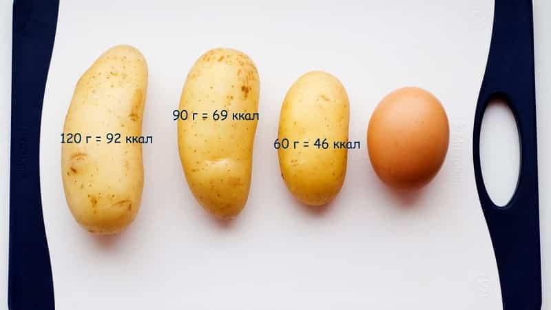 Determinamos el peso de la cosecha a simple vista: cuántas patatas hay en 1 kg y cómo estimar aproximadamente el peso.