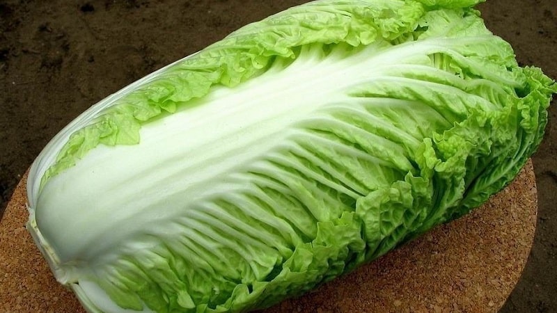 Beijing cabbage: description, photos, main characteristics of varieties and hybrids