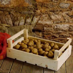 Features of proper potato storage: from A to Z