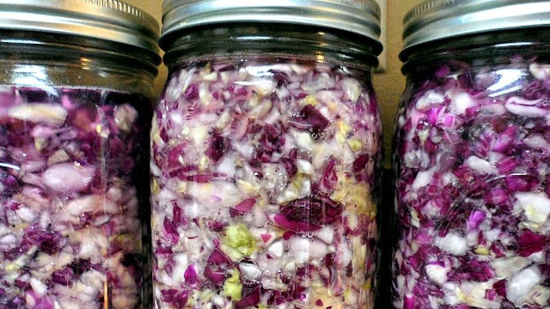 Uma seleção de deliciosas receitas de repolho roxo para o inverno em uma jarra