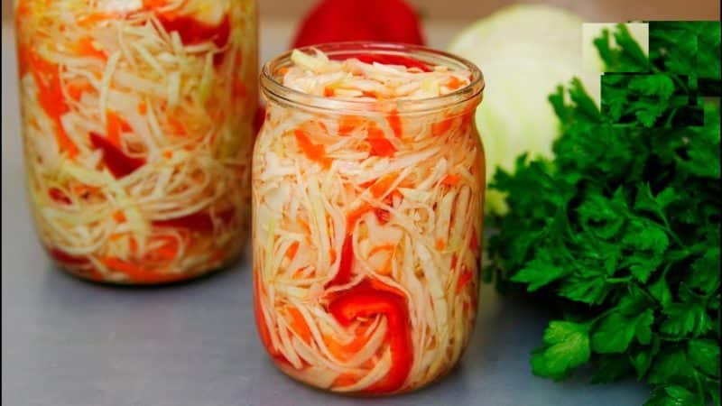 Recetas instantáneas de repollo en escabeche con vinagre de sidra de manzana