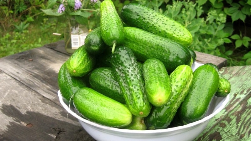 Las recetas más deliciosas de pepinos enlatados crujientes de amas de casa experimentadas.