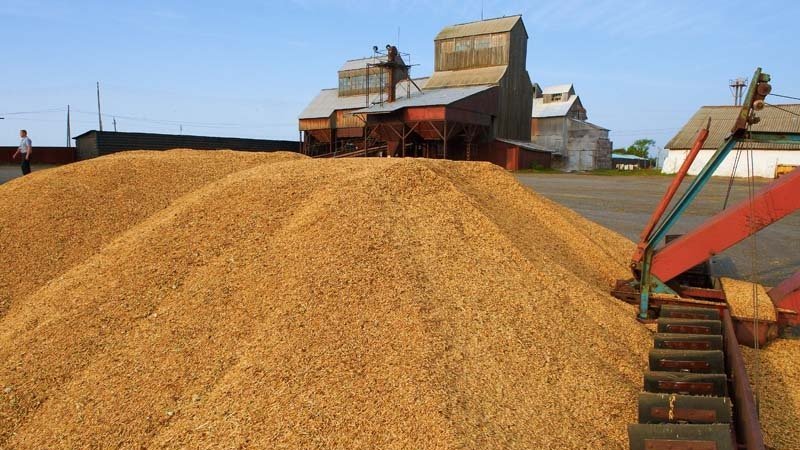 Modalités, règles et modalités de stockage du blé à l'échelle industrielle et domestique