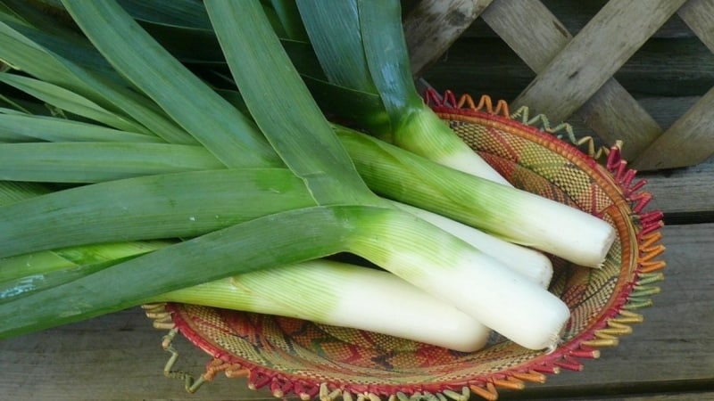 Paano maayos na i-freeze ang mga leeks para sa taglamig at magagawa ba ito sa bahay?