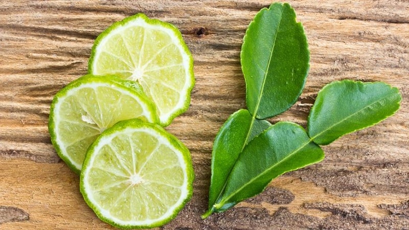 Hvad er fordelene ved kaffir lime blade, og hvordan man bruger dem i madlavning og aromaterapi