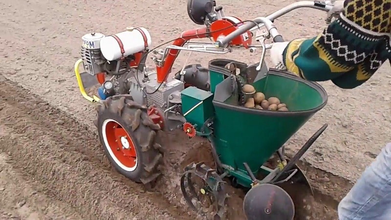 Pregled sadilnikov krompirja za hodni traktor in kako ga narediti sami