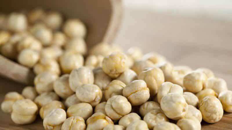 The most popular chickpea varieties - description and characteristics