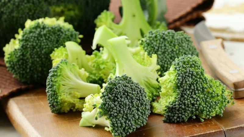 Le brocoli est-il bon pour perdre du poids et sous quelle forme et quantité doit-il être inclus dans l'alimentation ?