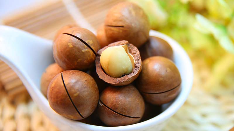 Propriétés bénéfiques de la noix de macadamia pour les hommes et règles d'utilisation