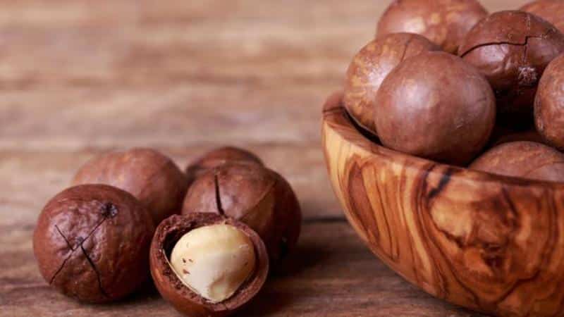 Propiedades beneficiosas de la nuez de macadamia para hombres y reglas para su uso.