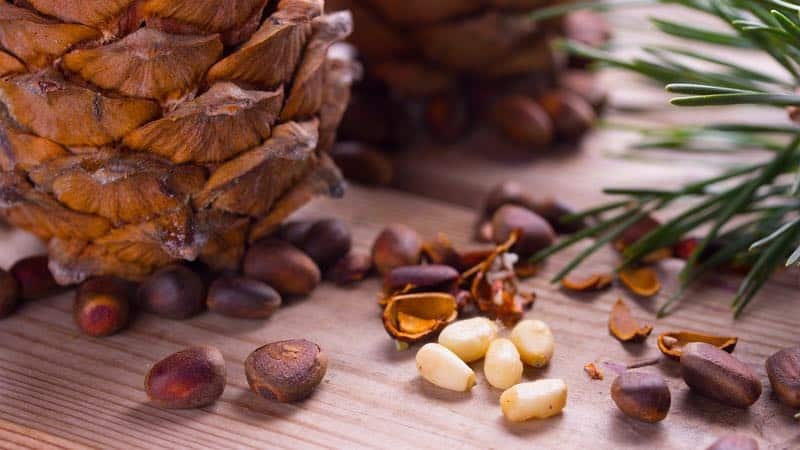 What are the benefits of pine nuts for women?