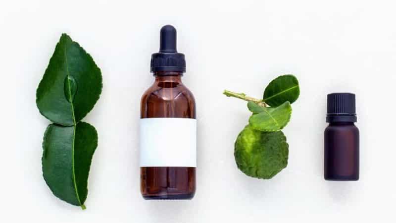 What are the benefits of kaffir lime leaves and how to use them in cooking and aromatherapy