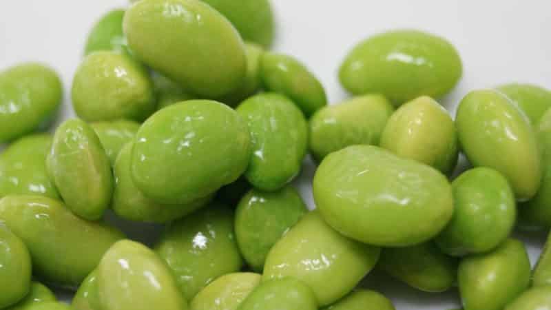 Edamame grah - podrijetlo, prednosti i značajke