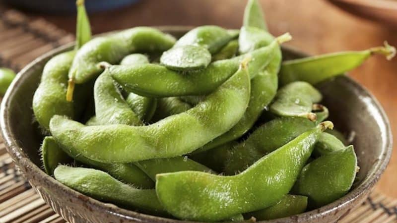 Edamame grah - podrijetlo, prednosti i značajke