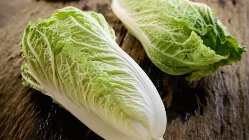 The simplest and most delicious recipes for salting Chinese cabbage at home