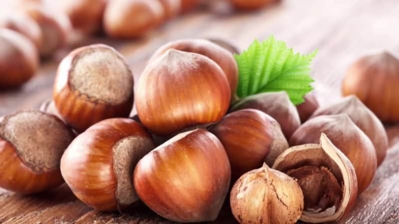 Hazelnuts - benefits and harm for women