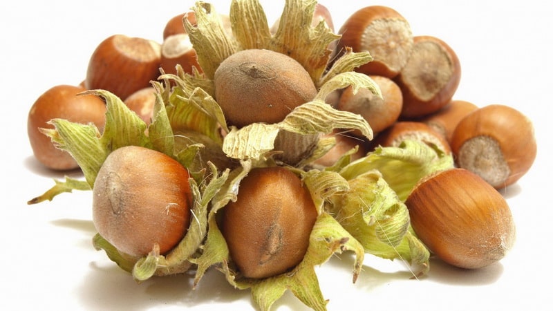 Hazelnuts - mga benepisyo at pinsala para sa mga kababaihan