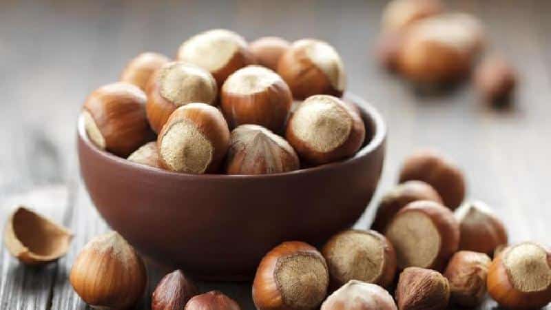 Hazelnuts - benefits and harm for women