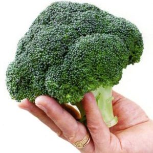 Broccoli hybrid Batavia F1