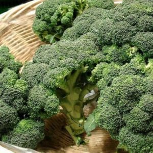 Broccoli hybrid Batavia F1