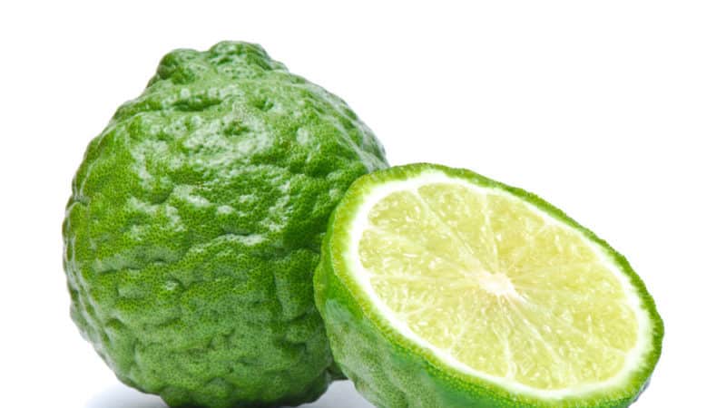 Kaffir lime - hvilken slags plante er det?