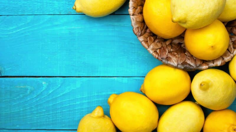 Les meilleures façons de conserver les citrons à la maison