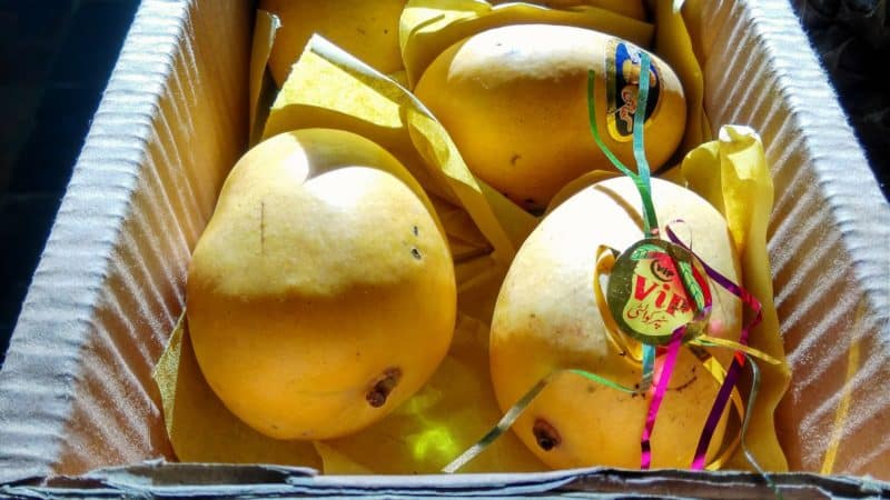 Com emmagatzemar els mangos a casa perquè no es facin malbé