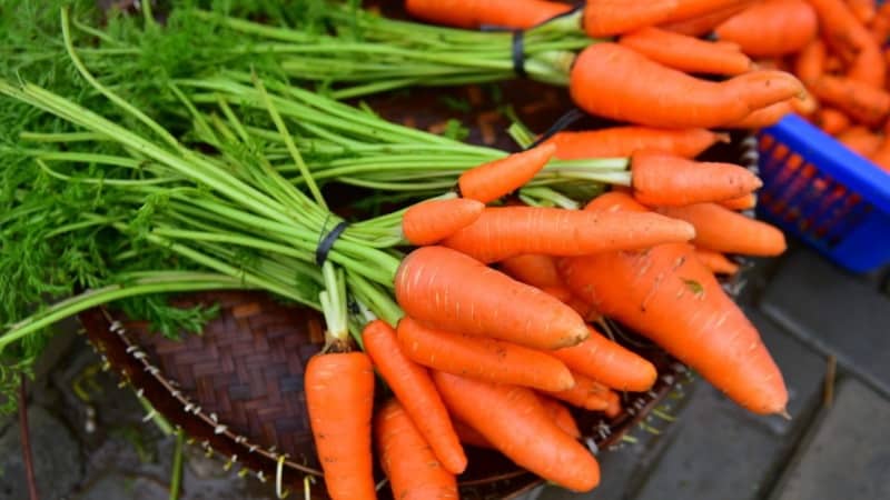 ¿Cómo se llama la variedad de mini zanahorias?