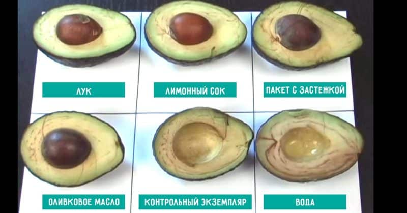 How to properly store cut avocados