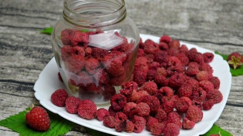 Paano maayos na matuyo ang mga raspberry sa bahay