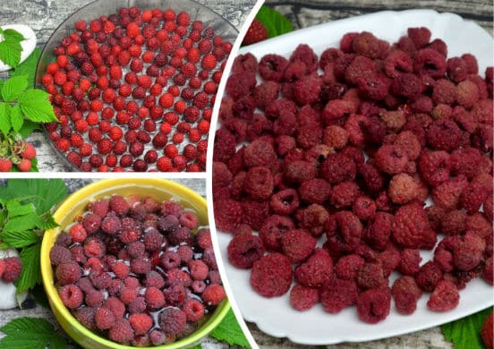 So trocknen Sie Himbeeren zu Hause richtig