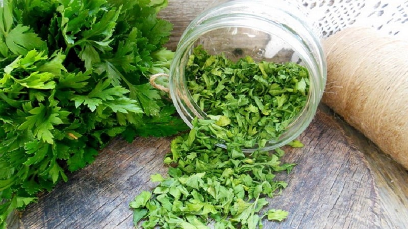 How to properly dry parsley at home - the best ways