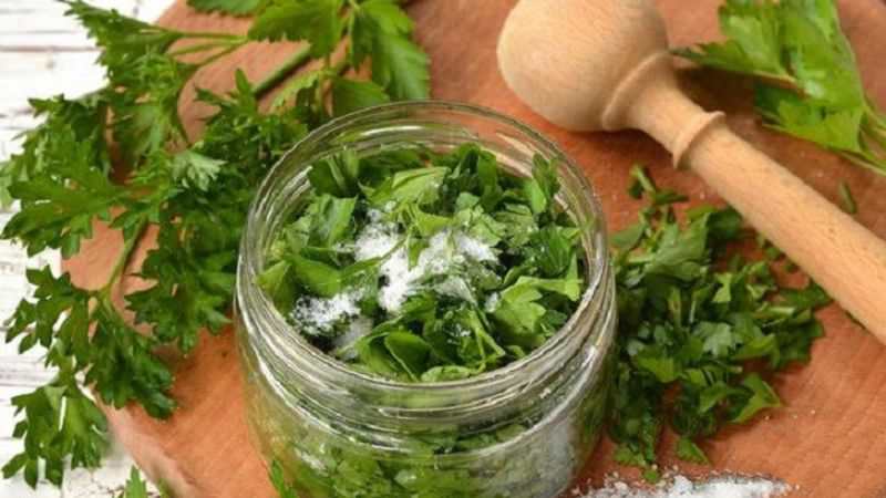 How to properly dry parsley at home - the best ways