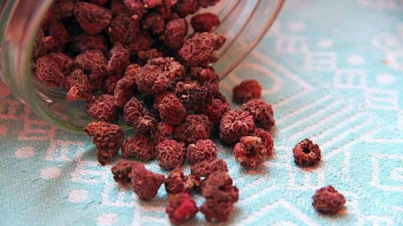 Comment sécher les baies et les feuilles de framboise à la maison