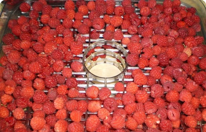 Comment sécher les baies et les feuilles de framboise à la maison