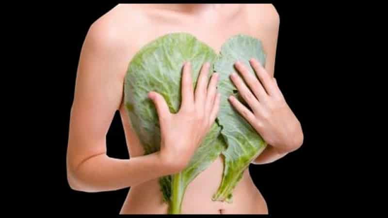 Cabbage for mastopathy: treatment with traditional methods, reviews