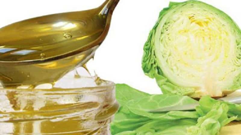 Cabbage for mastopathy: treatment with traditional methods, reviews