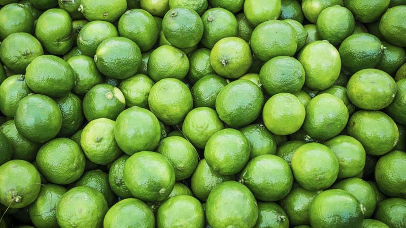 Lime: composition and beneficial properties of the fruit, application features