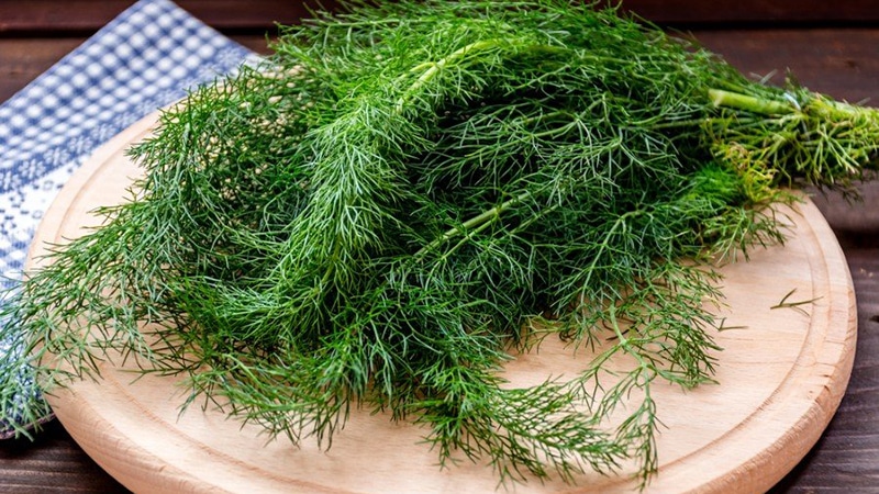 Incredible, but true: the healing properties of dill are stunning