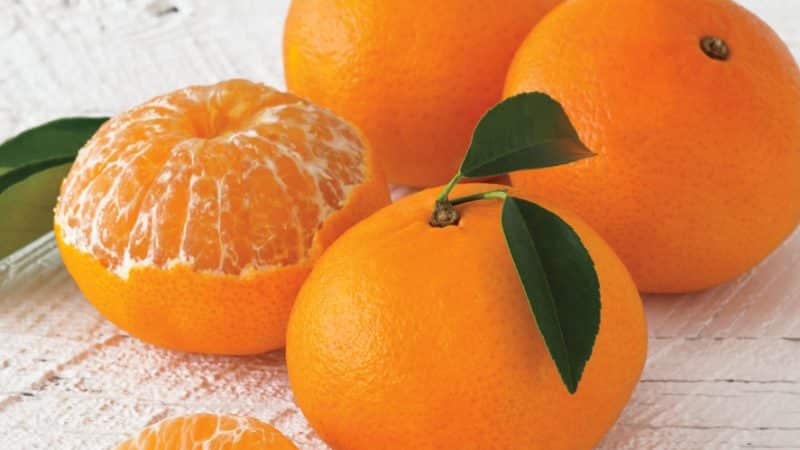 Is it possible to eat tangerines while losing weight and how do they affect the fight against excess weight?