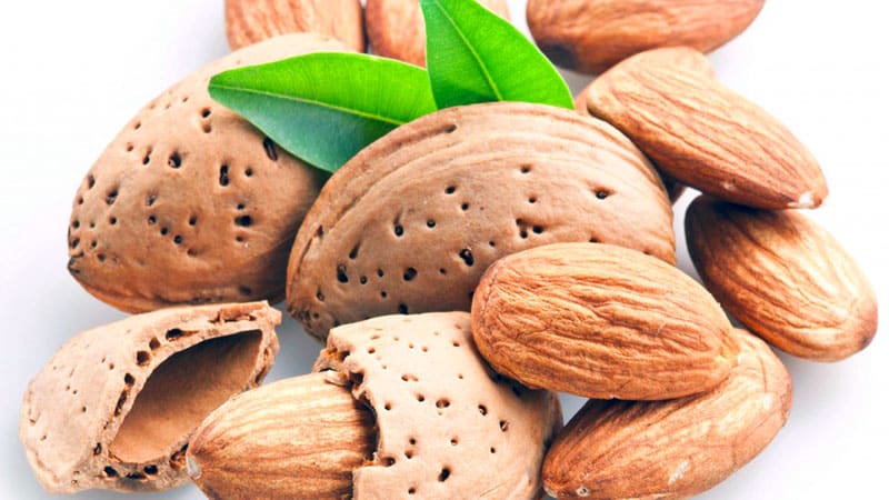 Are almonds the best nut for women?