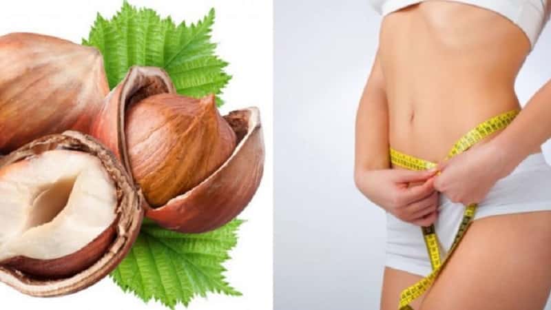 Beneficial properties and harm of hazelnuts for weight loss